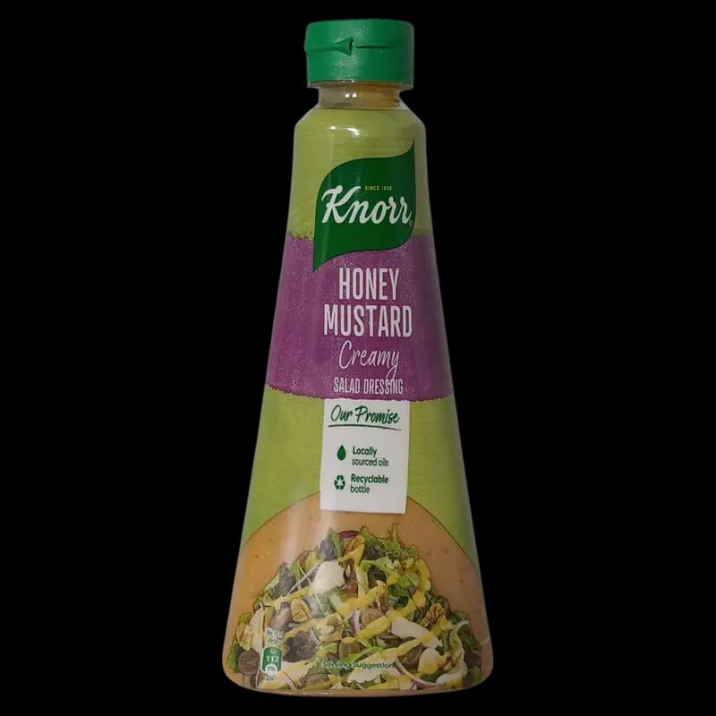 Salad Dressing 340ml Honey Mustard Knorr x 1 - 6001087311410 (#1)